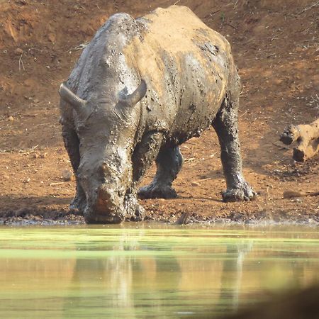 Sable Creek Safari Lodge ซานีน ภายนอก รูปภาพ