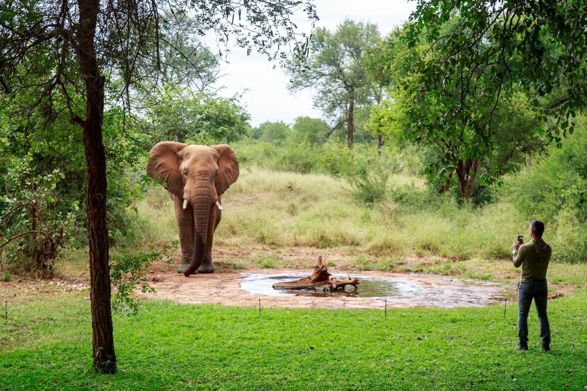 Sable Creek Safari Lodge ซานีน ภายนอก รูปภาพ
