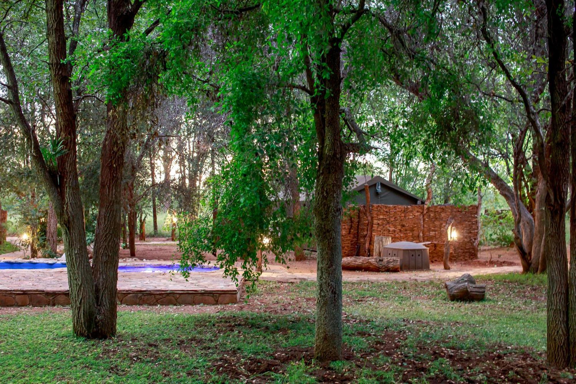 Sable Creek Safari Lodge ซานีน ภายนอก รูปภาพ